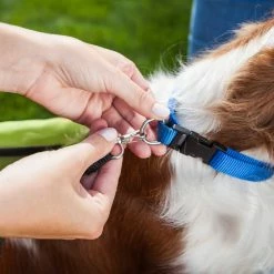 Cheap 😉 Schwinn Rascal Plus Pet Bike Trailer 😍 -sports outdoors Sales unnamed file 201