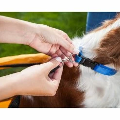 Outlet 😀 Schwinn Rascal Pet Trailer ✨ -sports outdoors Sales unnamed file 89